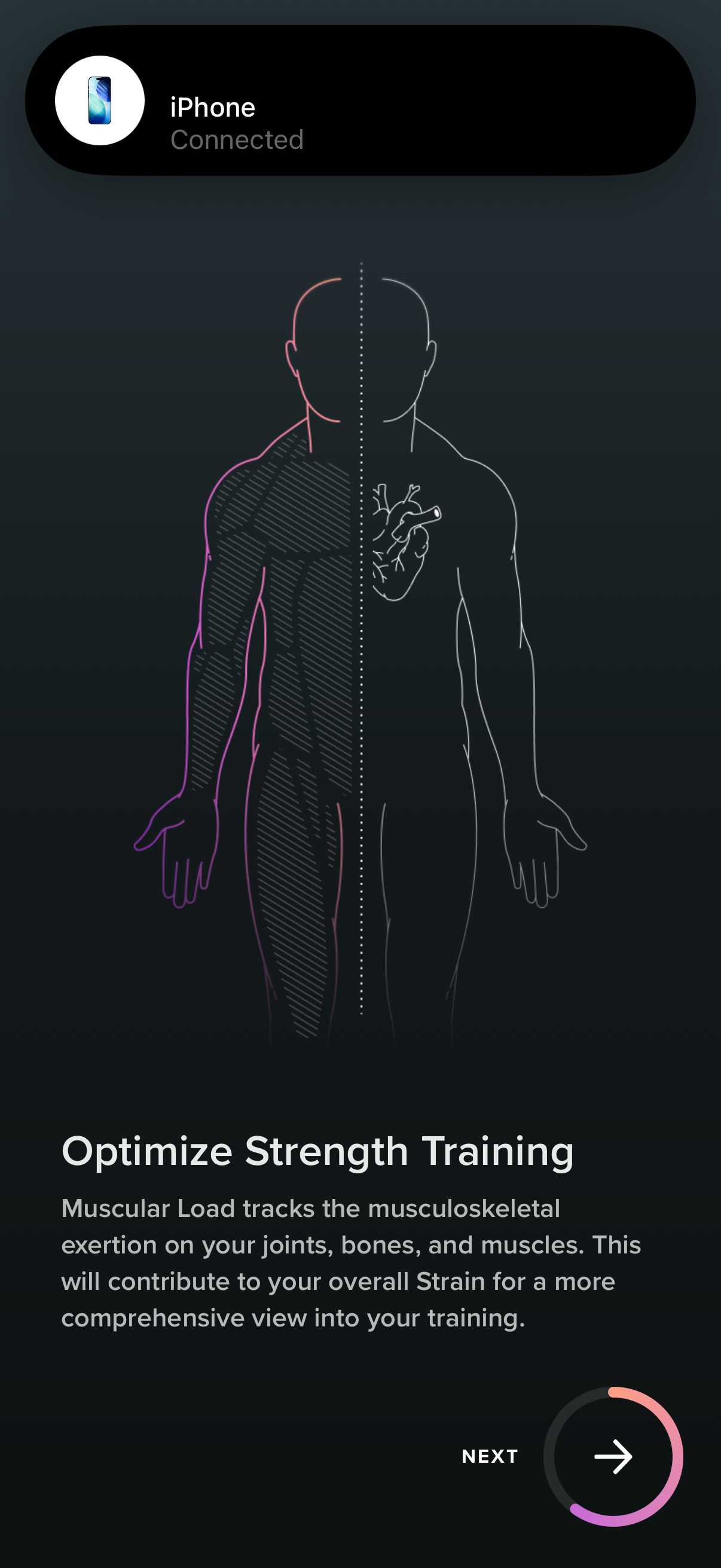 Strength Trainer — muscular load